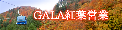 GALA紅葉営業
