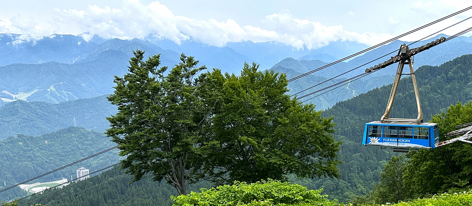 シャーレゆざわ銀水