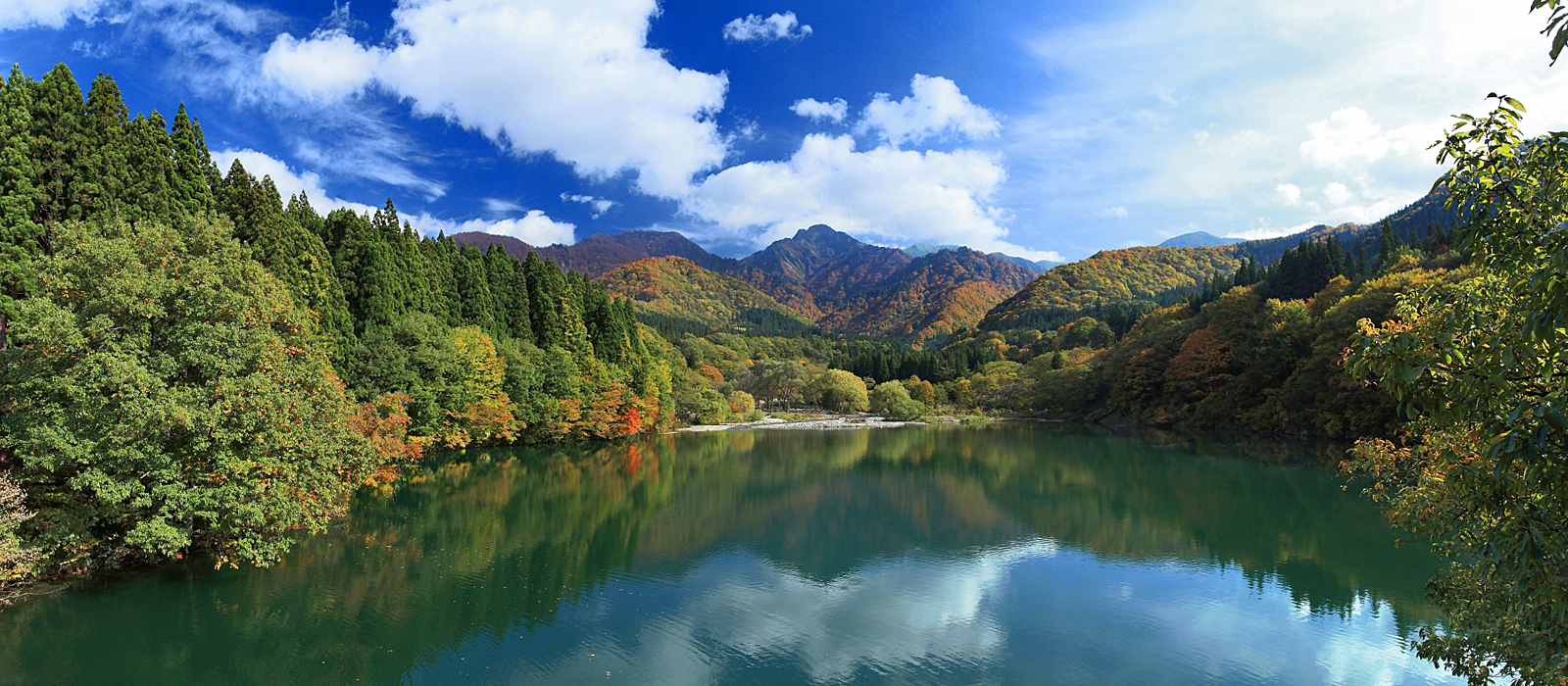 シャーレゆざわ銀水